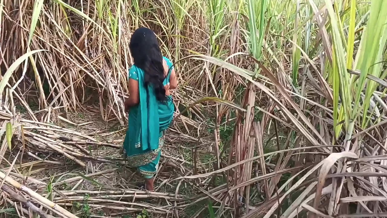 out door sugarcane field sexy married girlfriend ko choda full hard sex