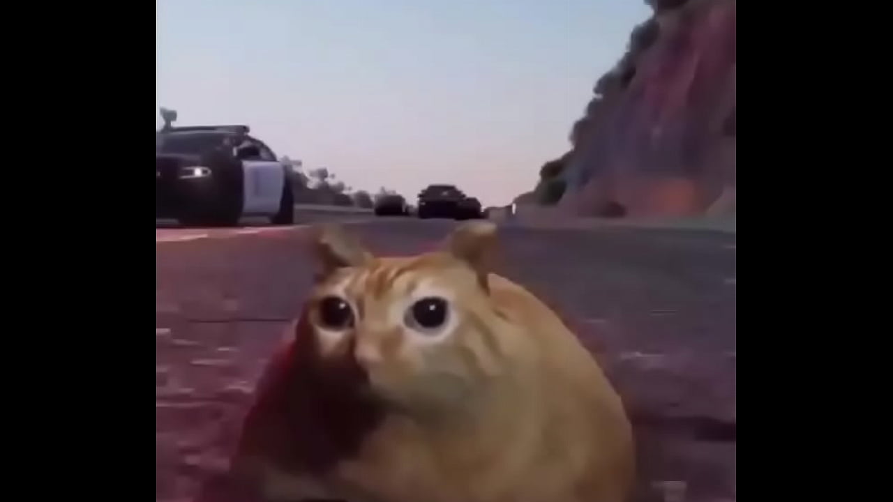 Branco Escapando de Quatro Rapazes Negros