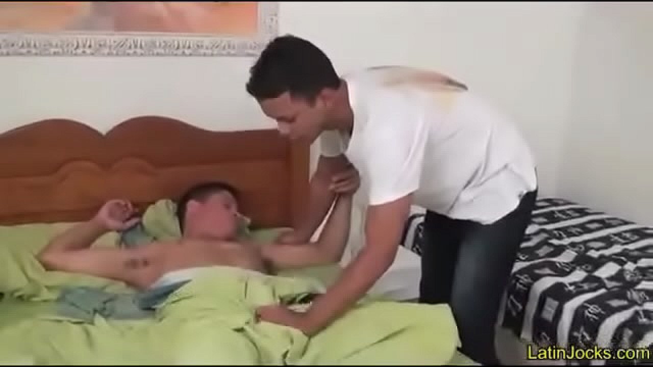 Gatos Brasileiros fudendo com prazer