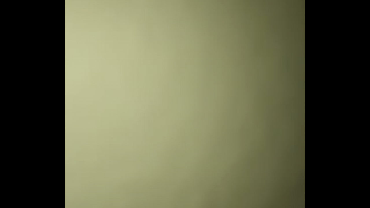 V&iacute;deo de verificaci&oacute;n