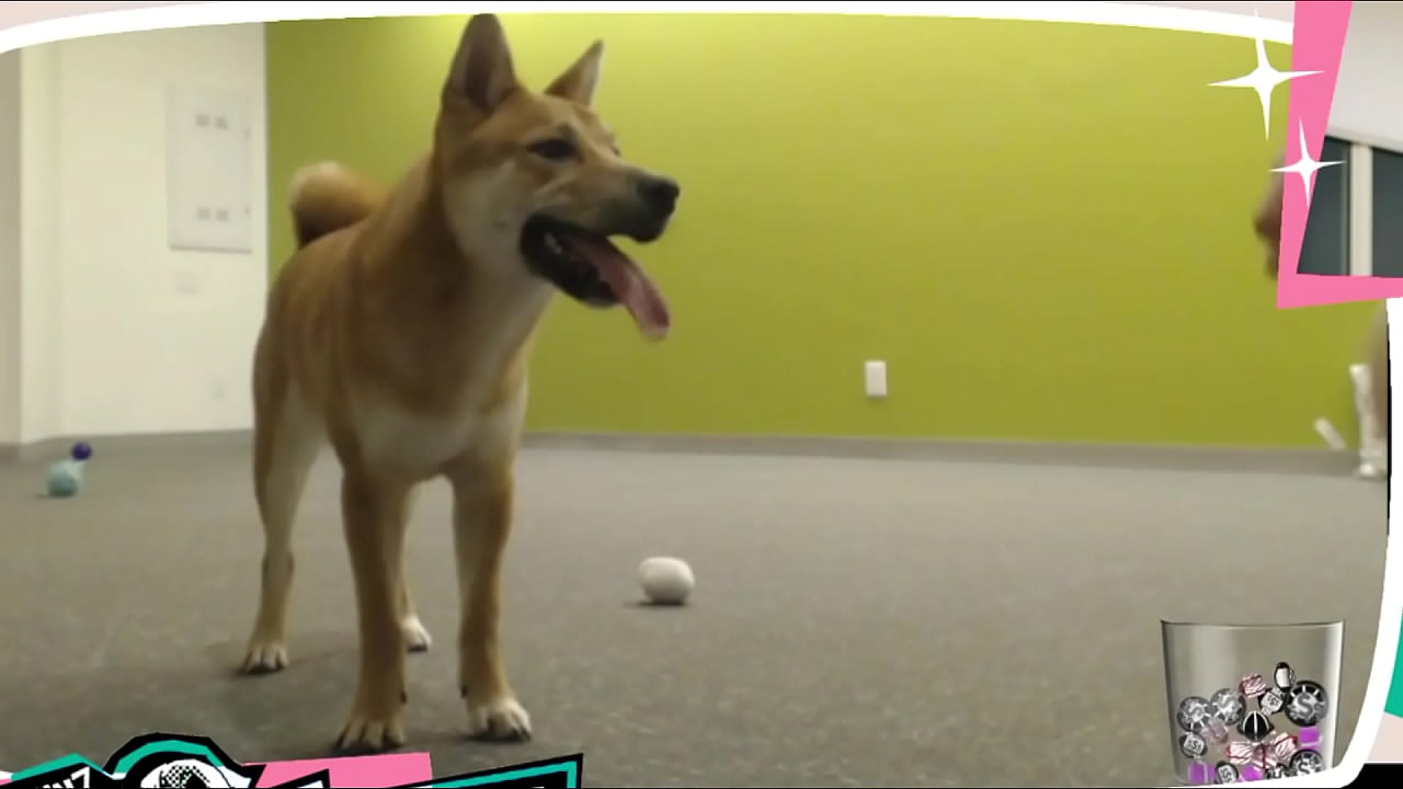 Big AF Natural Tits Streamer and Doggo