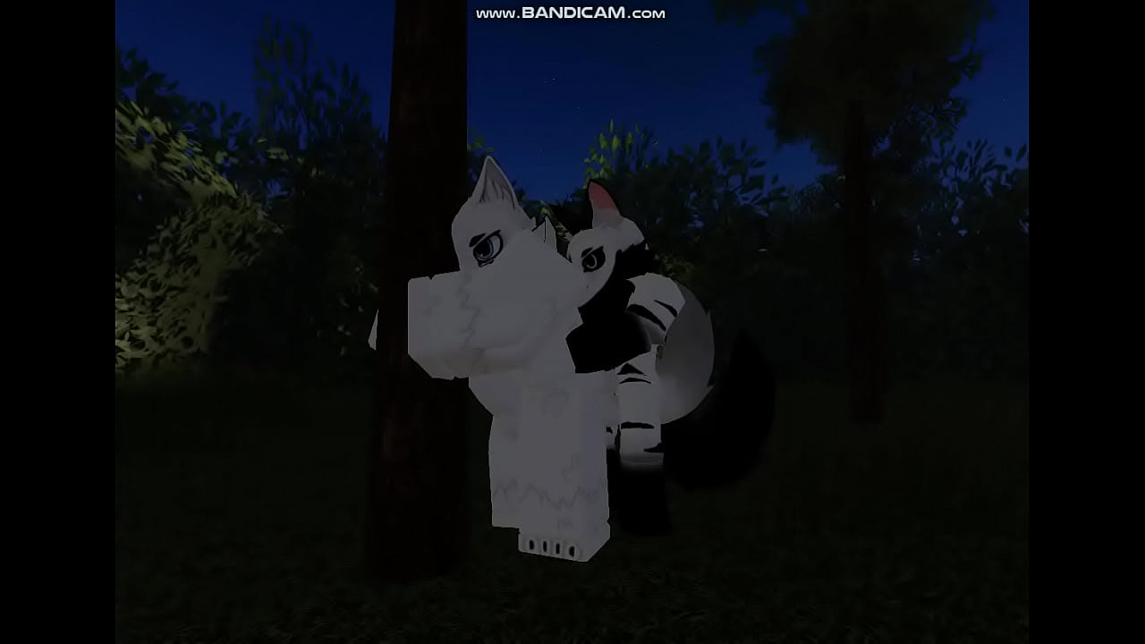 dwa futrzaki pieprzące się w lesie