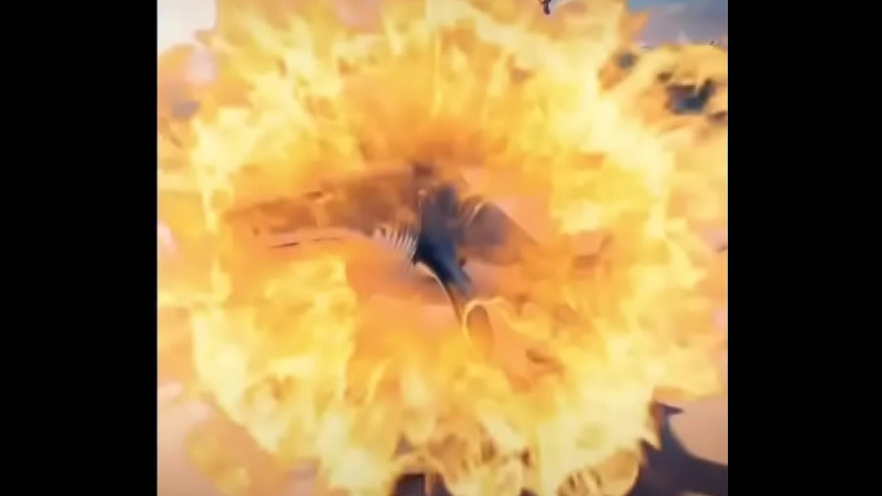 V&iacute;deo de verifica&ccedil;&atilde;o