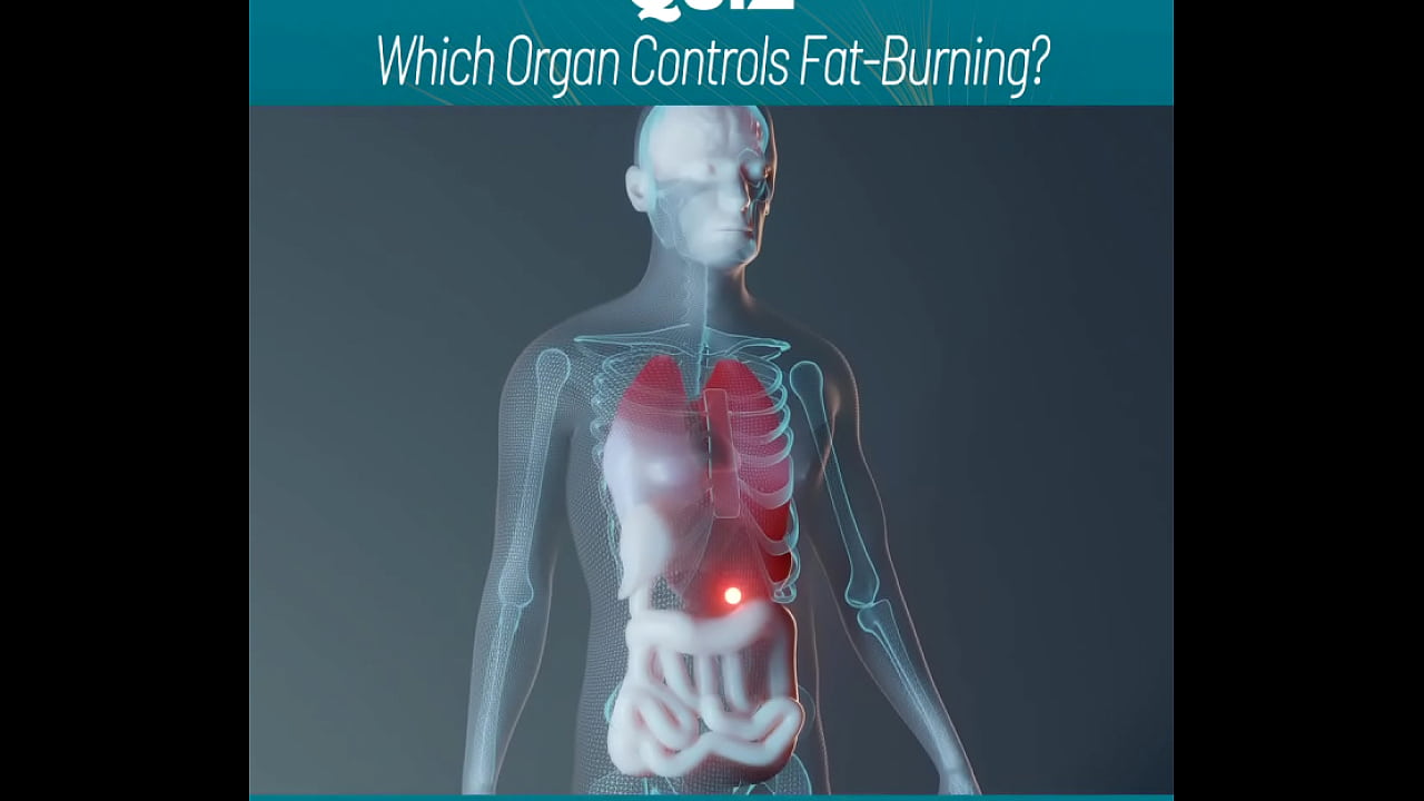 amazing body of a sexy gym trainer https://shorturl.at/GV6ng