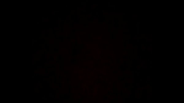 Rica cojida a gringa