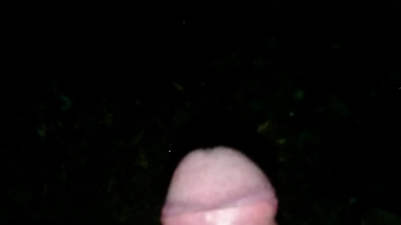pissing in the woods by night.
