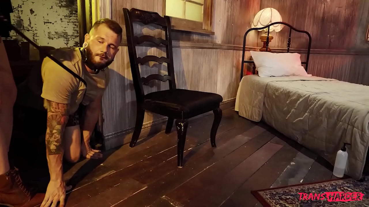 Unleashed / TransAngels