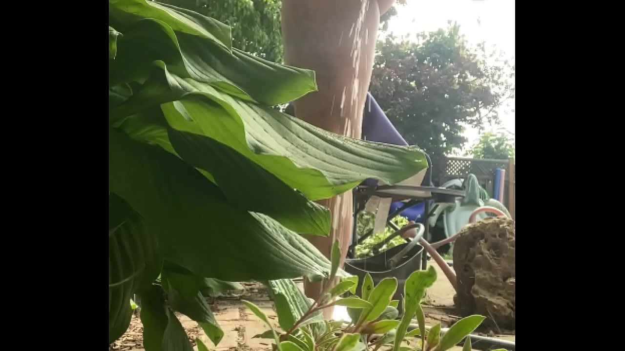 Tiatinkles - Pissing by the Pool - IMG 2987 - Jul 30, 2025