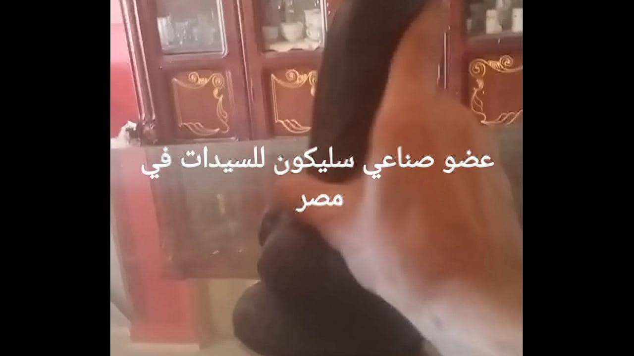 سكس مصري