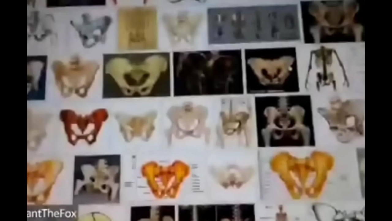 Esqueleto haciendo manualidades xd