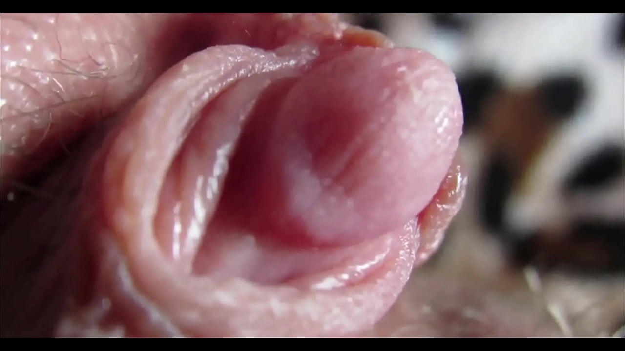 pussy orgasm
