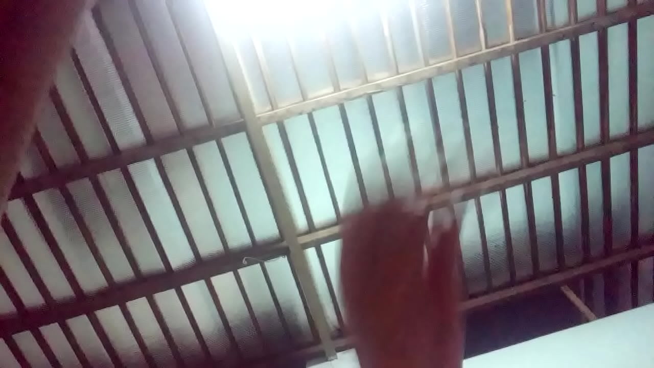 Video x&aacute;c minh