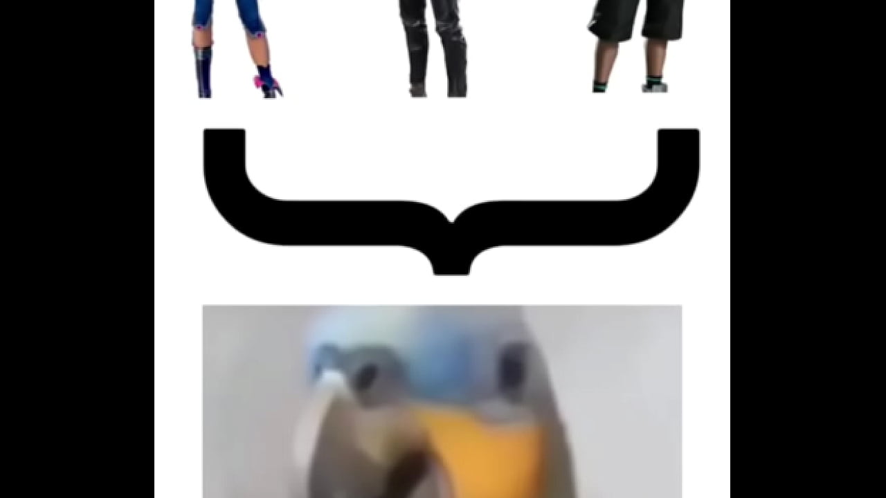 Lista mais gay do planeta terra [cu gostoso]