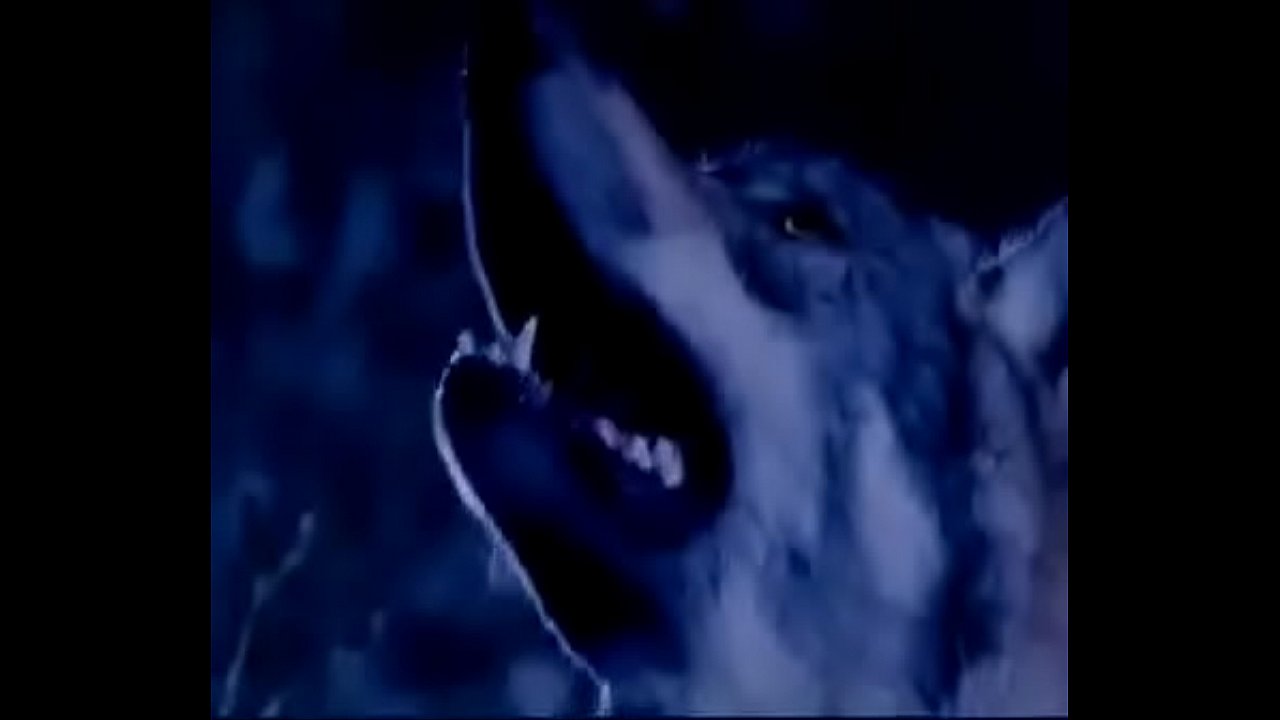 ฉากหนังอาร์ ไมนอล เทวดาก๊องบ๊องๆ บวมๆ