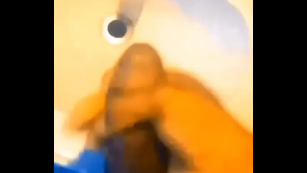 trim.48C512A5-2469-46DF-B6BE-F1E6E2C65E8D.MOV