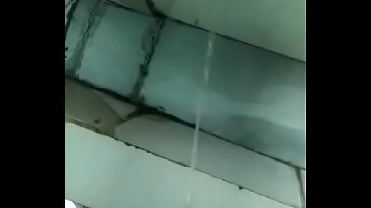 Mijada enquanto toca m&uacute;sica de Belchior