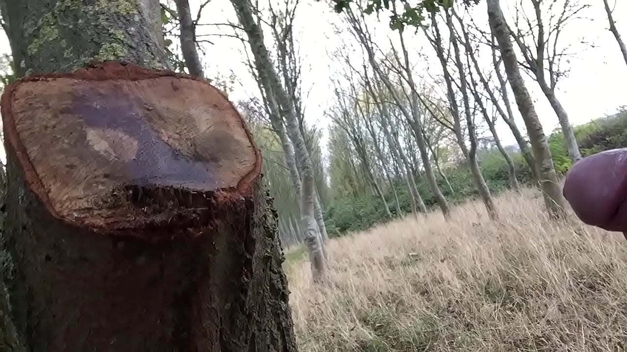 Pissing and stroking cock