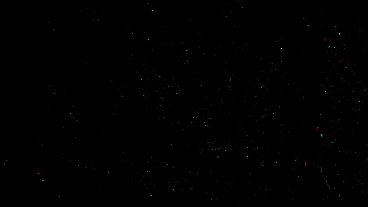 Flexible stuntcunt takes on Huge Dick