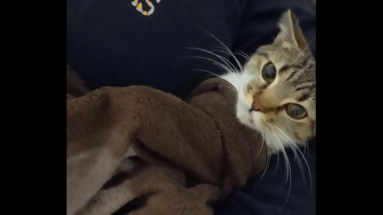 Fallando mi mujer rico y le encanta demasiado a la perro