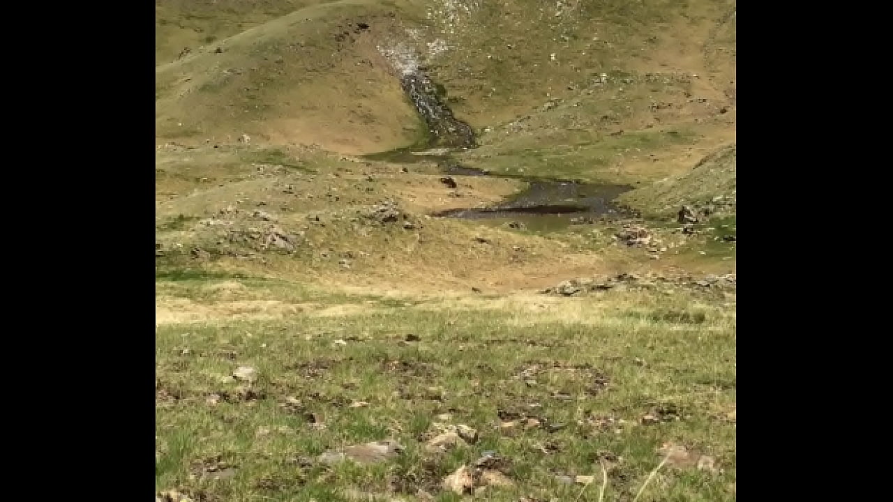 Dirty flies get inside foreskin of uncircumcised guy