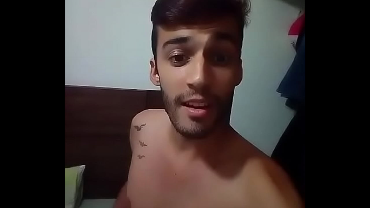 o gato mia a muri oca pica 17-01-2017 20-54-21