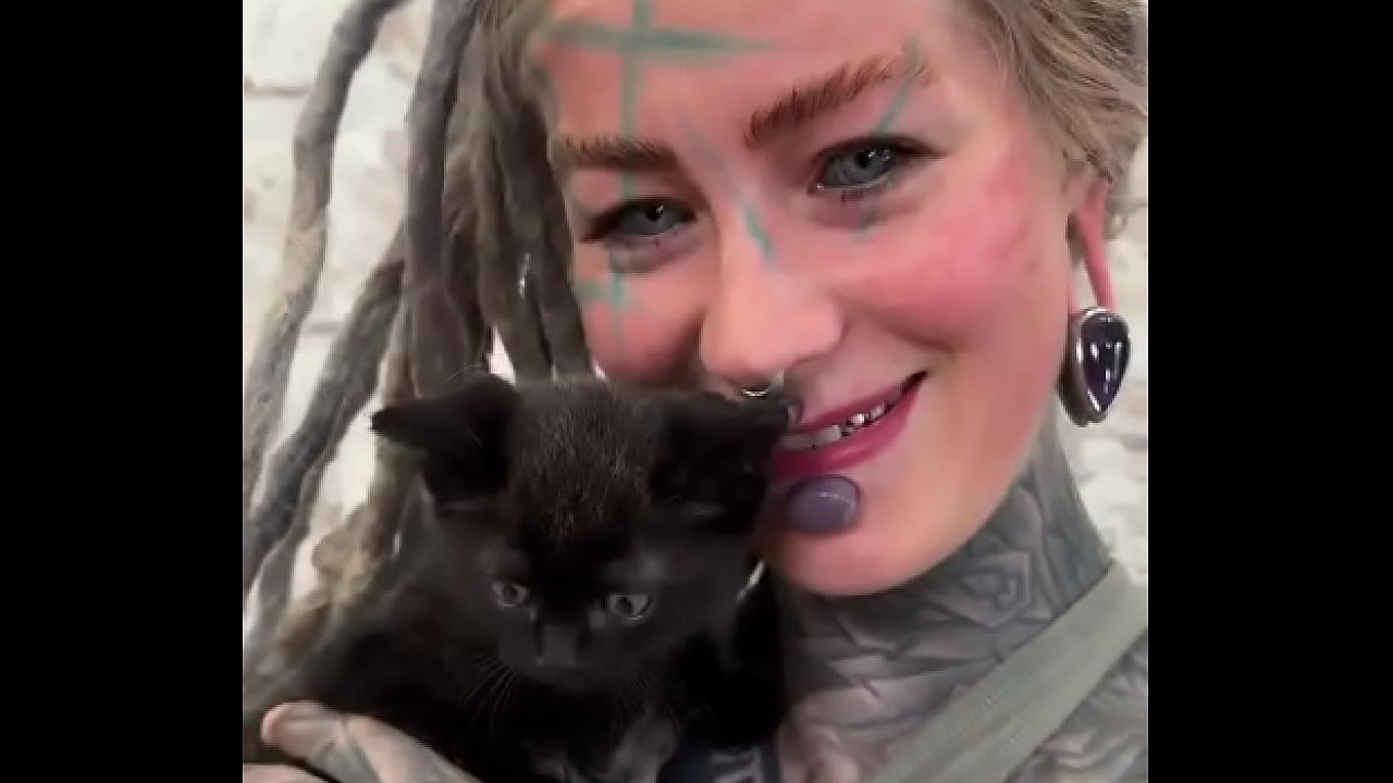 Kitten love! ??What&rsquo;s the cutest thing your pet has ever done?#KittenLove #FurryFriendship #AdorableMoments #Ink...