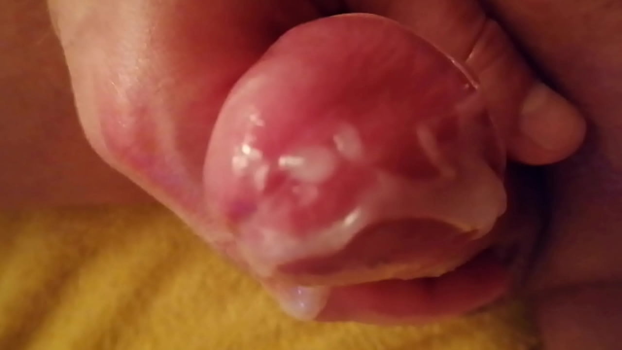 Sch&ouml;ne Camf&uuml;hrung beim melken