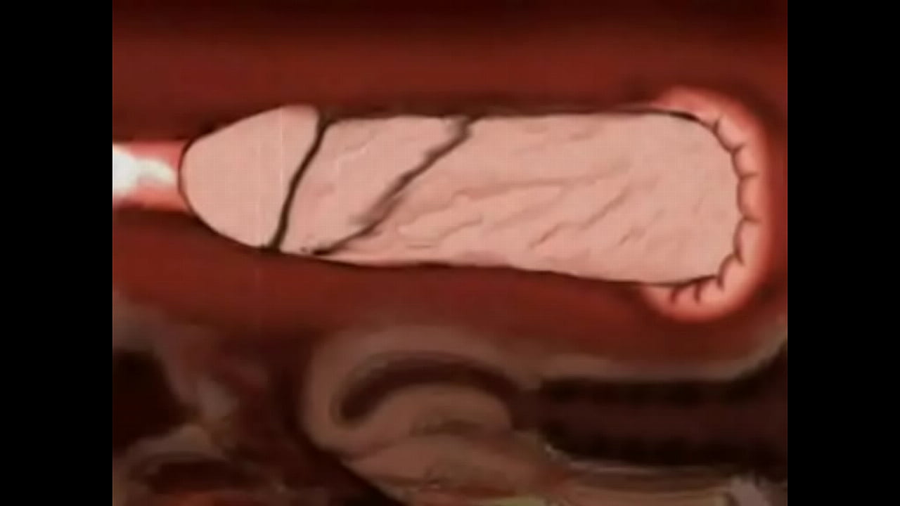 Este curioso se llev&oacute; la m&aacute;s deleitante sorpresa de su vida