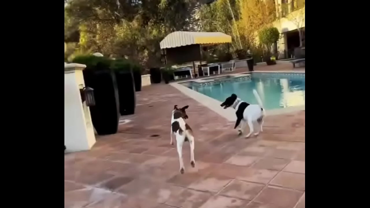 Looking for girls to. Shoot Halloween stuff at this house Friday night! My friend is leaving the country for a month and ...