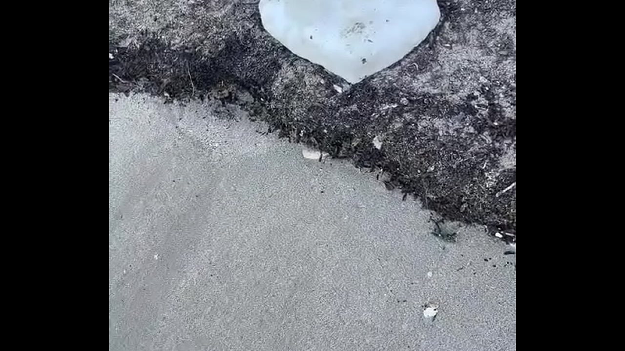 - Update #110 (2024-07-30T15:02:02.000Z)