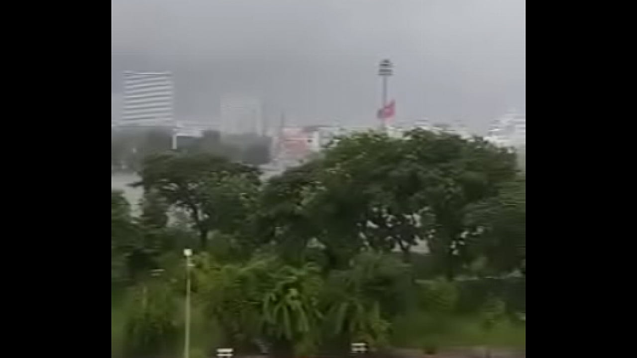 Video x&aacute;c minh