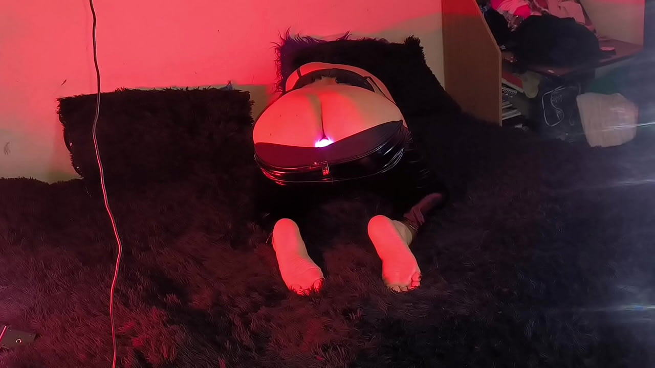 Travisbaretto - update #17 - 1000376017 - Nov 16, 2024