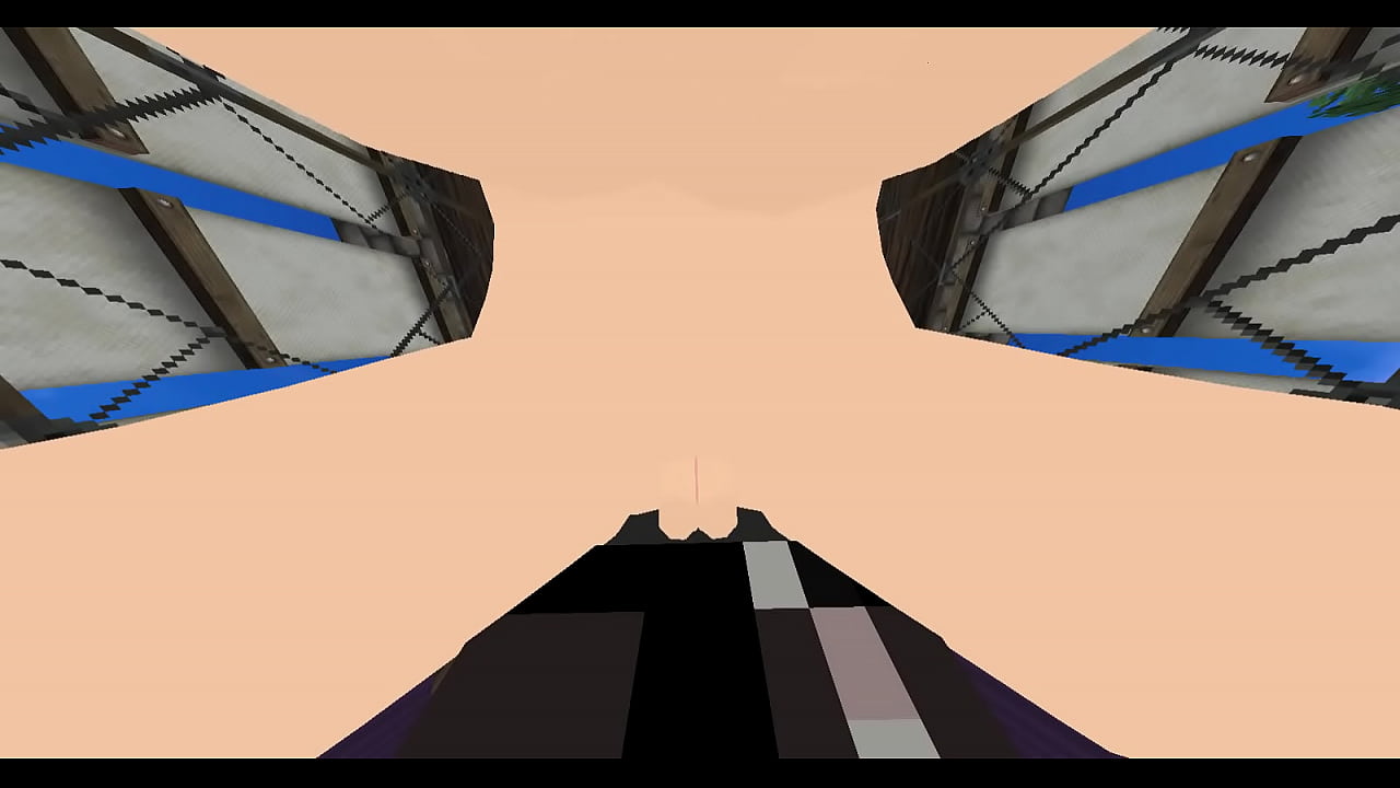 Fucking in Minecraft