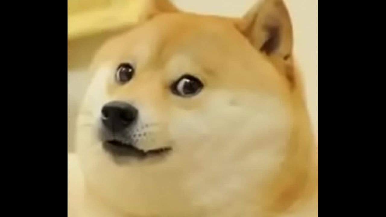 Doge sex Cheems