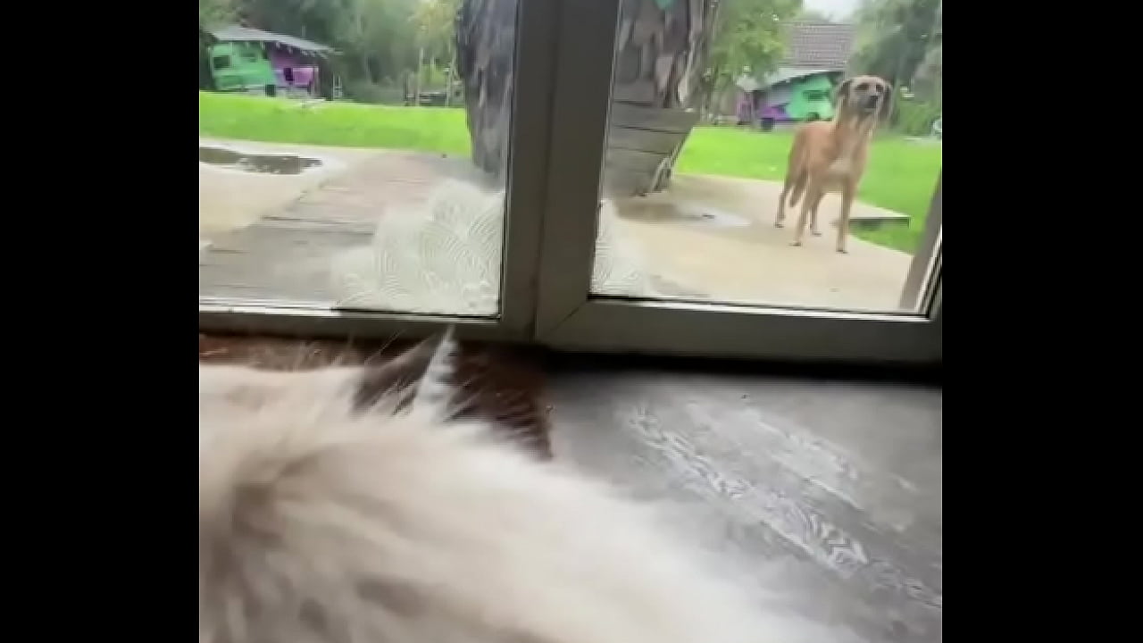 Dive into the chaos at psyland25 with me - you like it ?Tattoo machines buzzing, loud music pumping, and vibrant ...