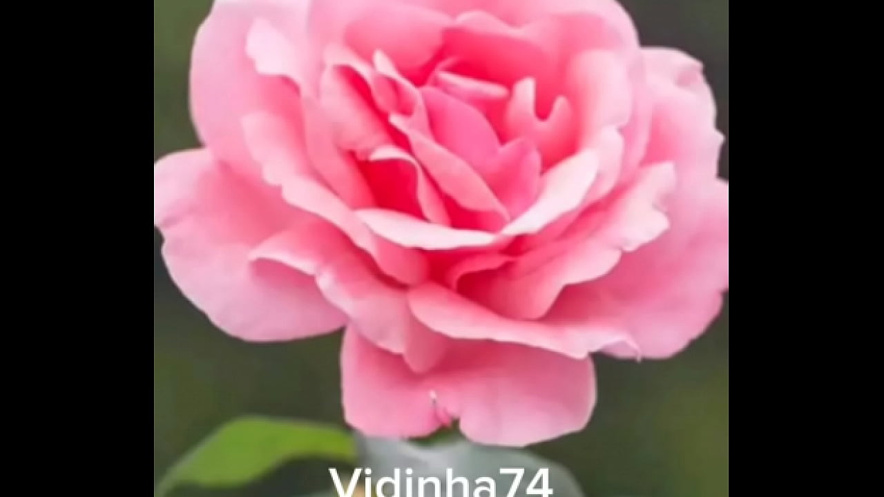 &Aacute;udio vidinha muito safada querendo pica