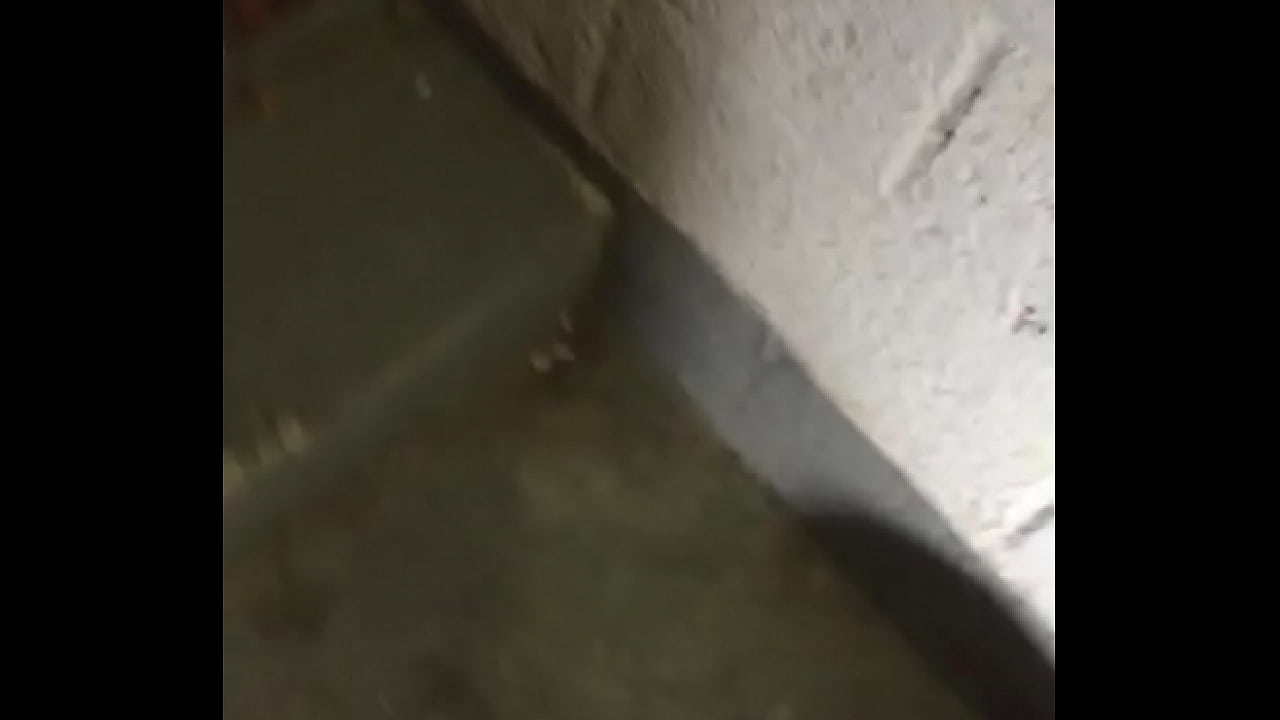 Tall dread fucked in projects staircase