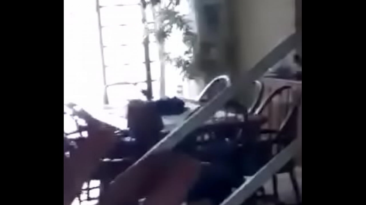 V&iacute;tor puto p&aacute;ssaro