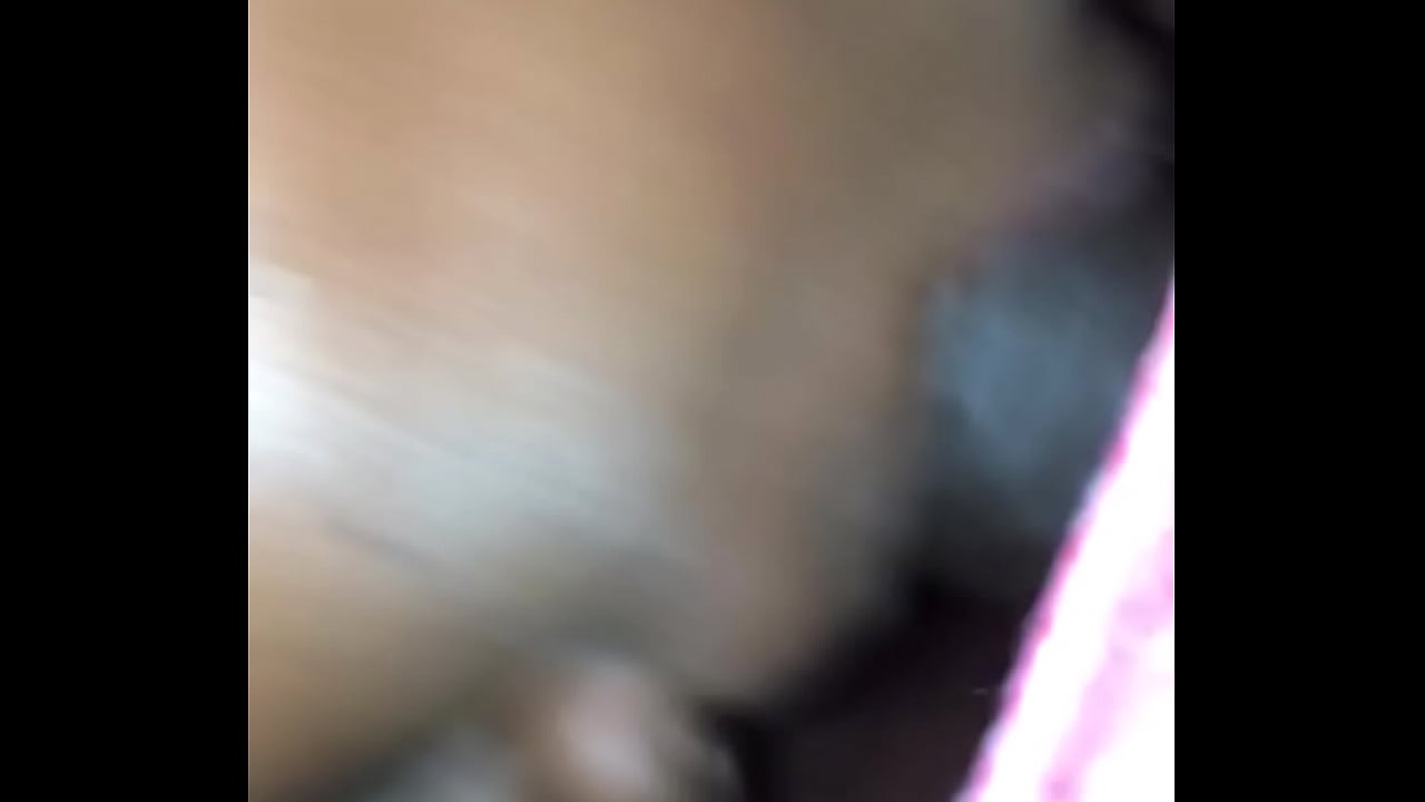 Ashley sucks fat dude dick