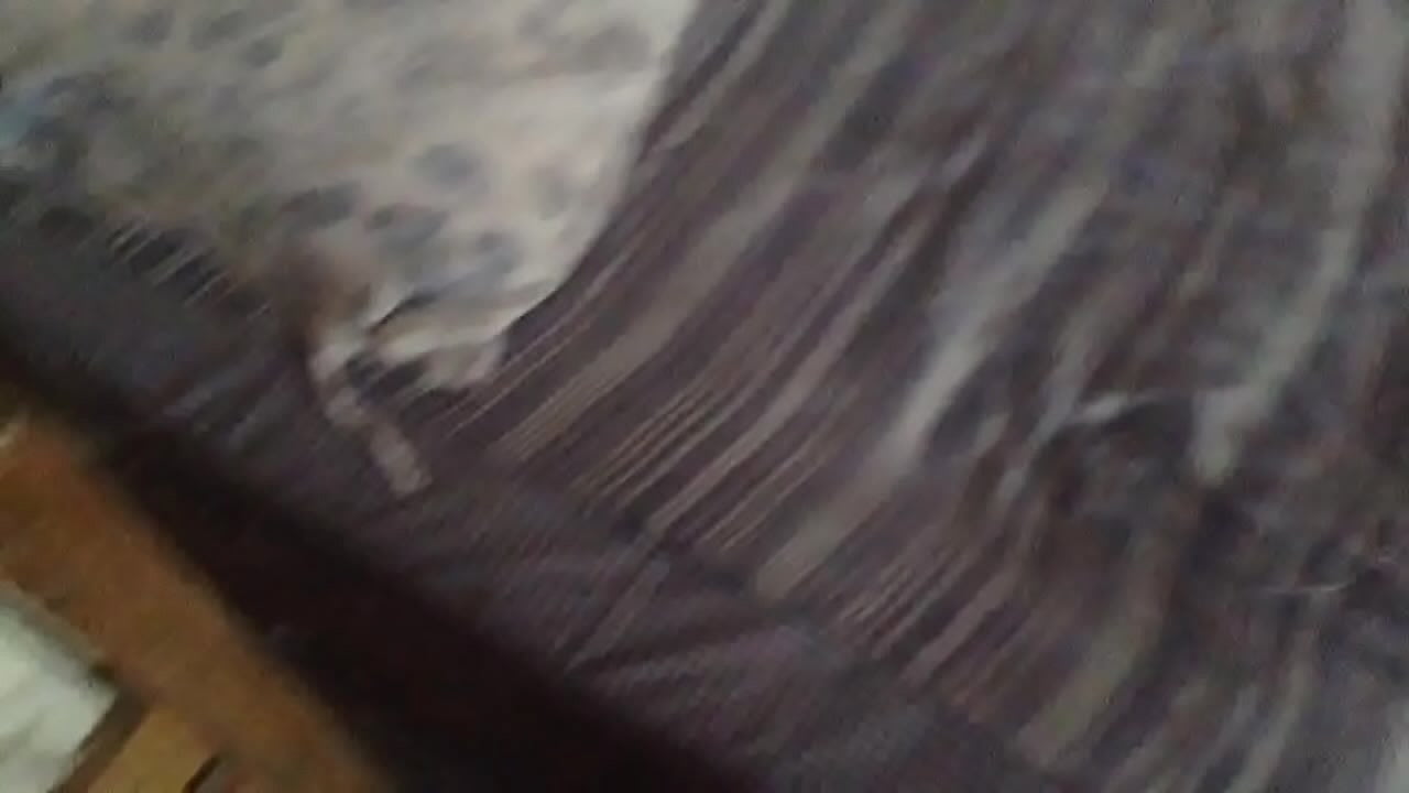 Venida en la foto de maestra sexy