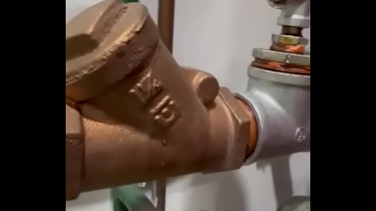 V&iacute;deo de verificaci&oacute;n