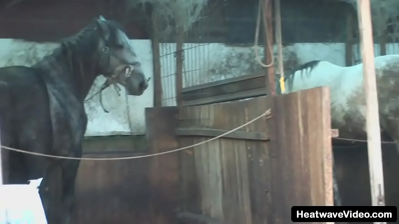 Hey My step Grandma is a Whore #21 - Jenny - This granny is a chunky woman with sagging tits and a huge fat ass, but that doesn't worry this young dick, a hole is the goal