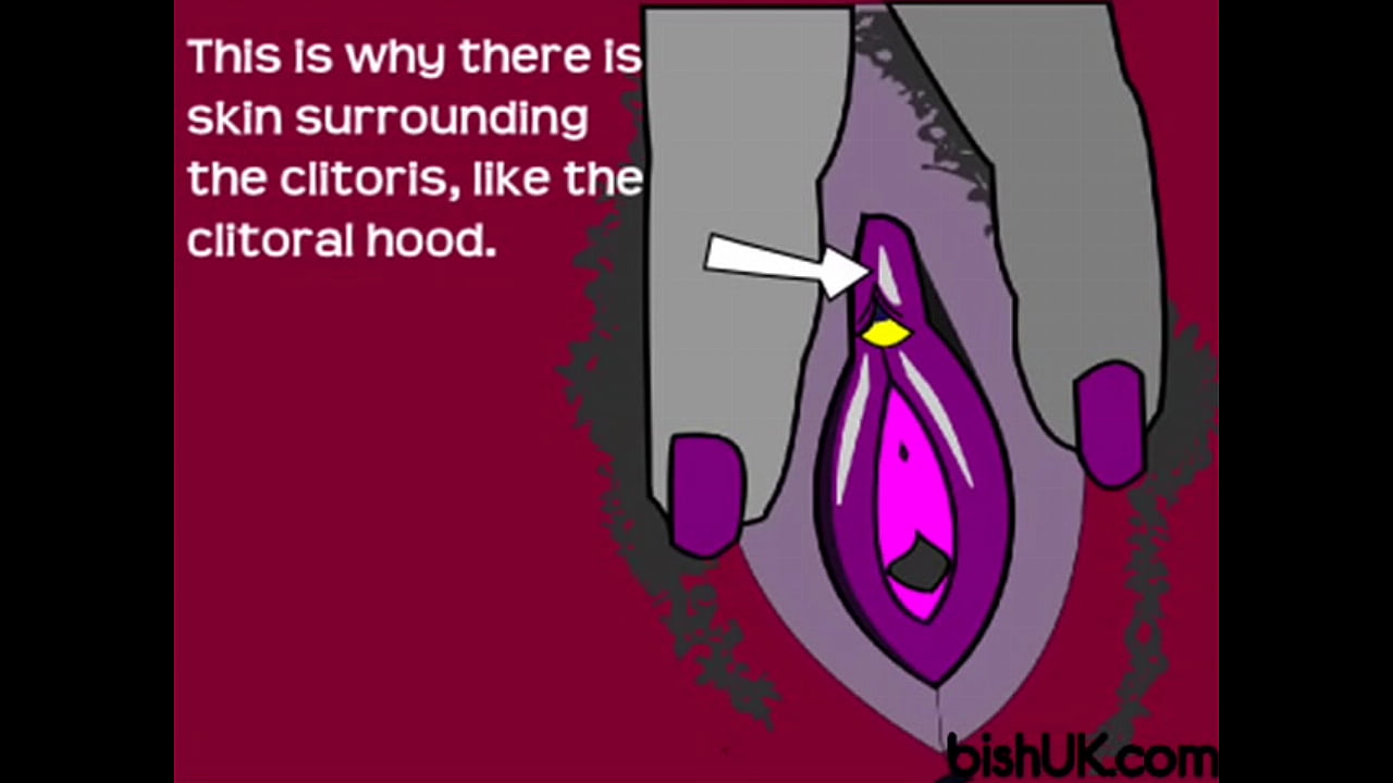 Bish Guide to the Clitoris