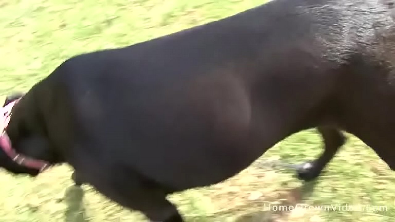 Two young lesbian amateurs licking and fucking each other with toys