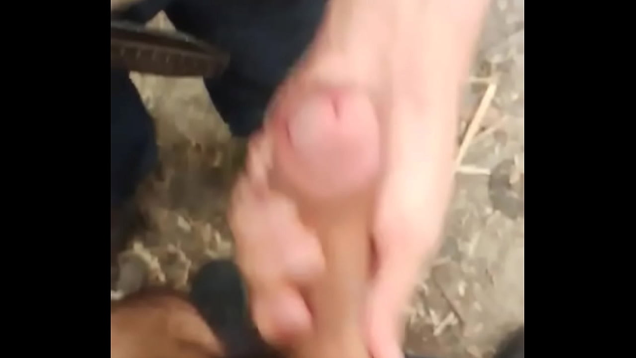 Mao amiga - Update #329 (2024-07-13T02:01:08.000Z)