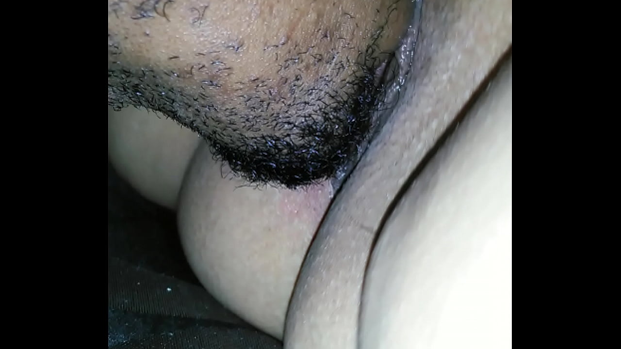 King Puma eating puma