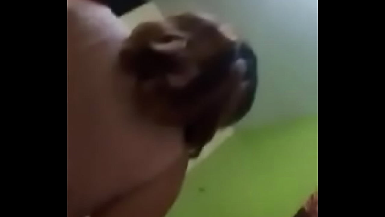 Sexo con una venezolana nalgona compa&ntilde;era de la oficina