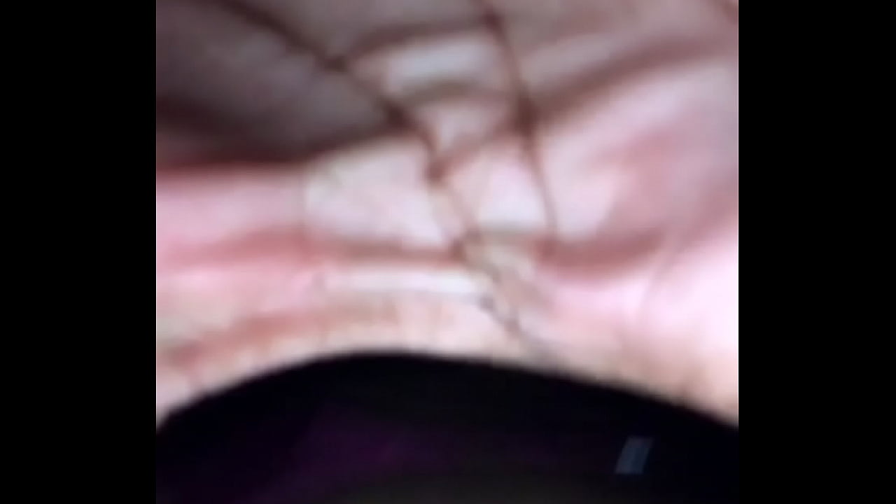 BabyDingo&rsquo;s After Hours