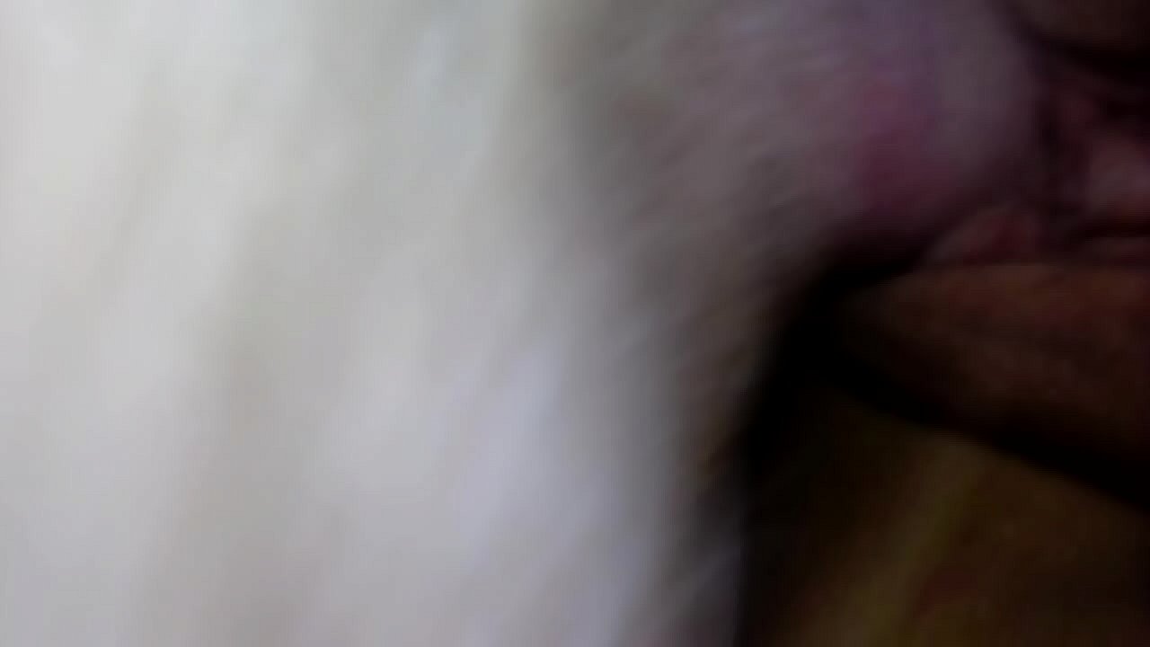 upclose pussy fucking