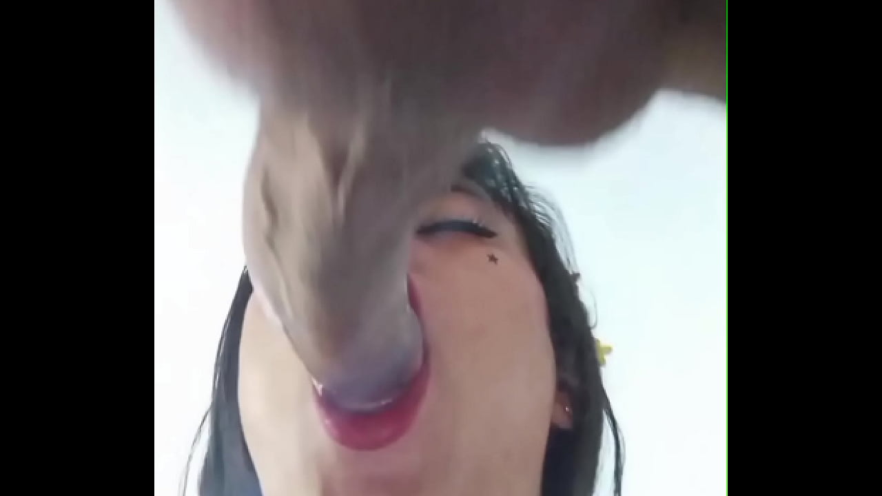 LA POLLA GRANDE DE MI AMIGO, ME FOLLA DURO Y SE CORRE EN MI CULO